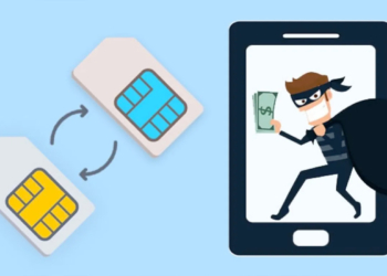 Sim swapping hackers check point