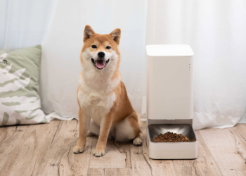 Xiaomi smart pet food feeder