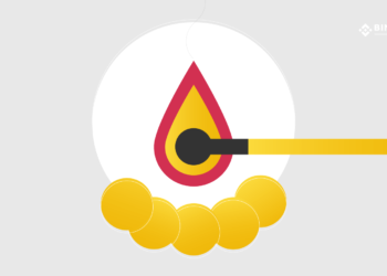 Queima de criptomoedas