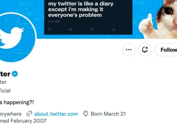 Twitter oficial cinzento