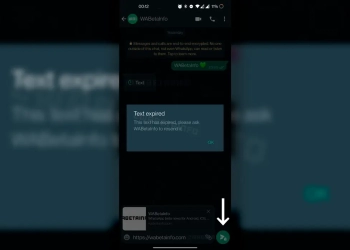 Whatsapp mensagens secretas