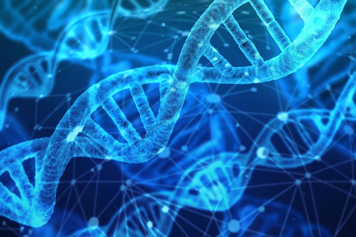 Edição genética é uma das tecnologias revolucionárias destacadas pelo MIT