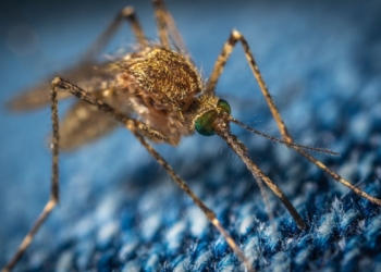 Vacina contra a malária