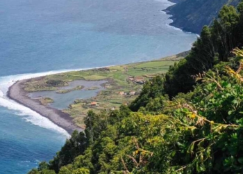 Obra-prima de portugal com a xiaomi - 6