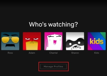 Netflix perfis