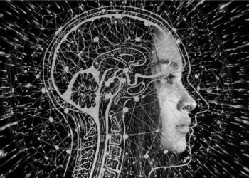 Defined. Ai e meta unem-se para lançar llama 2