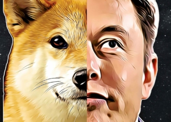 Elon musk doge criptomoedas