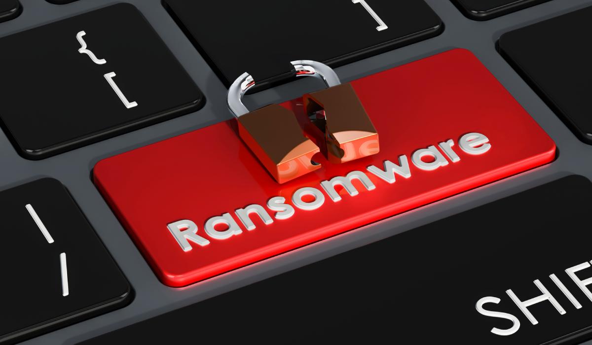 Ransomware Clop Torrents