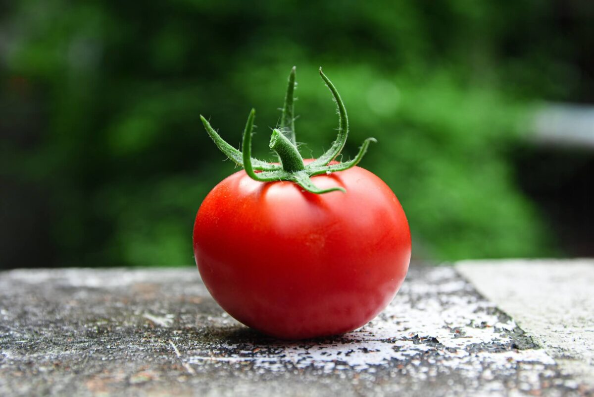 imagem de um tomate