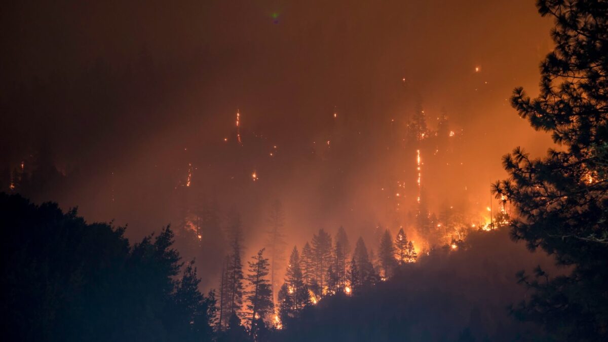 Imagem de um floresta pegando fogo