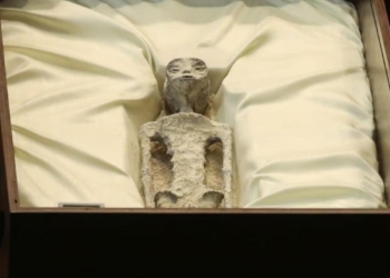 Congresso mexicano e ovnis: primeiras imagens de “aliens” reveladas!