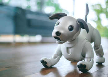 Cachorro robô aibos