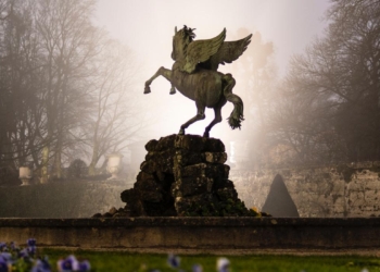 Apple pegasus motor de busca google