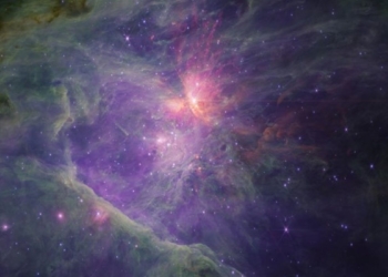 # james webb revela imagens inovadoras da nebulosa de órion o telescópio espacial james webb, uma das mais avançadas máquinas de observação astronómica, voltou a surpreender-nos. Desta vez, o foco está na nebulosa de órion, uma formação celeste que já foi objeto de estudo anteriormente. As novas imagens, divulgadas pela agência espacial europeia (esa), são de tirar o fôlego e trazem novas perspetivas sobre esta região do espaço. Localizada a aproximadamente 1. 350 anos-luz da terra, a nebulosa de órion é um ambiente que partilha semelhanças com o berço do nosso próprio sistema solar. A sua composição de gás e poeira, bem como a presença de fenómenos espaciais diversos, tornam-na um laboratório natural para o estudo da evolução planetária. ## a câmara que vê o invisível o instrumento responsável por estas imagens é o nircam (câmera infravermelha), uma tecnologia desenvolvida pela nasa. Este dispositivo é capaz de detetar luzes estelares que seriam invisíveis ao olho humano e a outros tipos de câmaras. O que torna estas imagens particularmente interessantes é a capacidade do nircam de captar detalhes que vão além do espectro visível, oferecendo uma visão mais completa da nebulosa. ### o que estas imagens nos dizem? As novas imagens focam-se no aglomerado de trapézio, que é a parte mais iluminada da nebulosa de órion. Este aglomerado é crucial para entendermos uma série de fenómenos espaciais: - anãs marrons - objetos de massa planetária flutuantes - protoestrelas - fluxos e discos de formação de planetas - regiões de fotodissociação ## uma parceria cósmica o james webb não é um projeto isolado. Trata-se de uma colaboração entre várias agências espaciais, incluindo a esa e a nasa. O objetivo comum é explorar o universo de forma mais eficaz e detalhada. Esta nova série de imagens da nebulosa de órion é um testemunho do sucesso desta parceria e da tecnologia de ponta que está a ser utilizada. ### por que a nebulosa de órion é tão especial? A nebulosa de órion é mais do que um espetáculo visual. Ela serve como um campo de testes para os astrónomos entenderem melhor os primeiros estágios da evolução planetária. A sua diversidade de fenómenos faz dela um dos objetos mais estudados em astronomia, e estas novas imagens só vêm enriquecer o nosso conhecimento sobre este intrigante canto do universo. Embora o james webb tenha já capturado imagens da nebulosa de órion no passado, as novas fotografias trazem um nível de detalhe sem precedentes. Graças à tecnologia avançada do telescópio e à colaboração entre diversas agências, estamos cada vez mais perto de desvendar os mistérios do nosso universo. É um lembrete poderoso do quão longe chegámos na nossa busca pelo conhecimento e do que ainda está por vir.