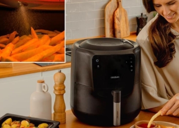 Cecotec air fryer