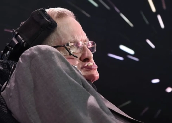 Stephen hawking ia