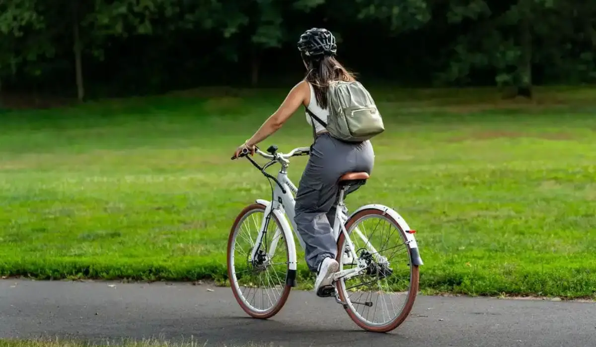 Bicicletas elétricas