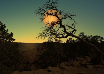 Principais pontos turísticos do cerrado para conhecer mais o brasil