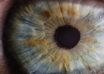 Recolha de iris worldcoin