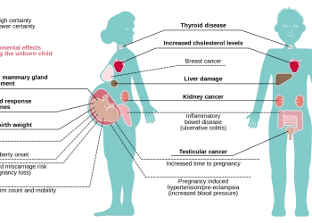 Nova fct coordena projeto alert-pfas - pfas podem levar a diversos problemas de saúde
