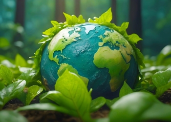 5 dicas simples para compras online mais sustentáveis