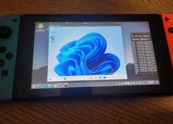 Nintendo switch - windows 11