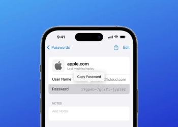 Apple passwords