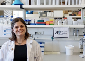 Investigadora inês ventura premiada por bioadesivo inspirado em ouriços do mar