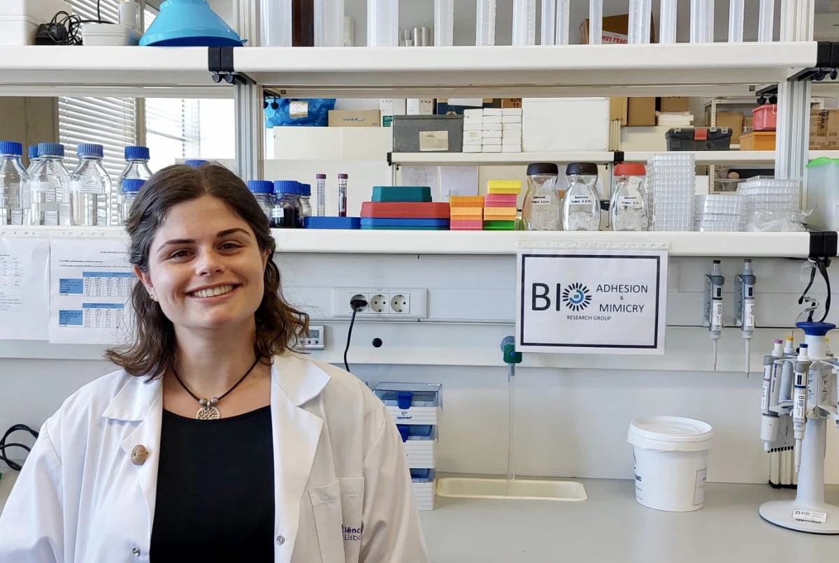 Investigadora Inês Ventura premiada por bioadesivo inspirado em ouriços do mar