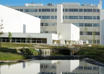 Porto business school lança summer school em ia para jovens