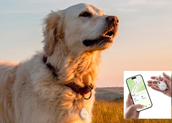 Hama item finder: nunca mais perca nada