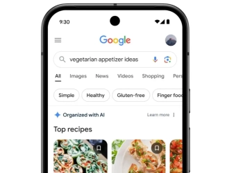 Google search ia (3)