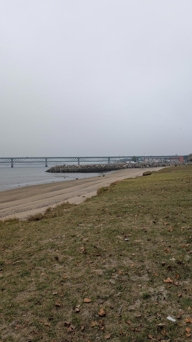 PXL 20240922 110614866.MP Reviews