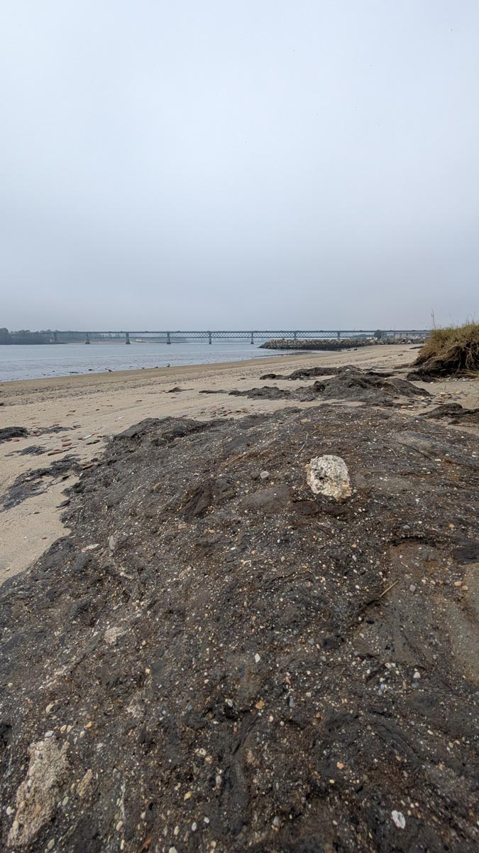 PXL 20240922 110813689 Reviews