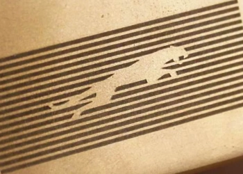 Jaguar visual - elétricos (2)