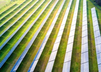 Tecnologia aplicada à sustentabilidade ainda é insuficiente