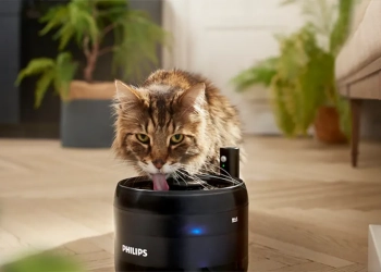 Promoção: fonte de água philips promete acabar com gatos a beber do teu copo