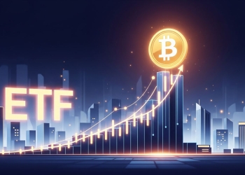 Máximo histórico da bitcoin: análise aos fatores