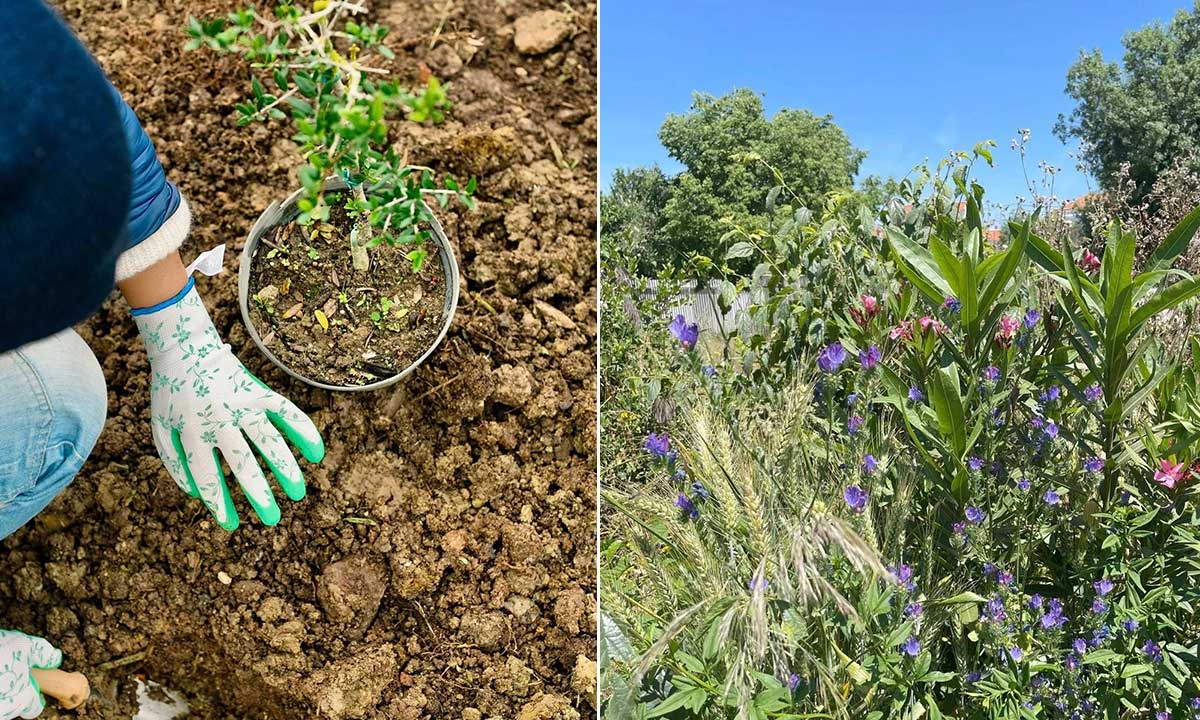 Estratégia de sustentabilidade