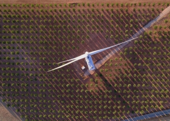 Lenovo truscale daas: ti sustentável com foco no roi