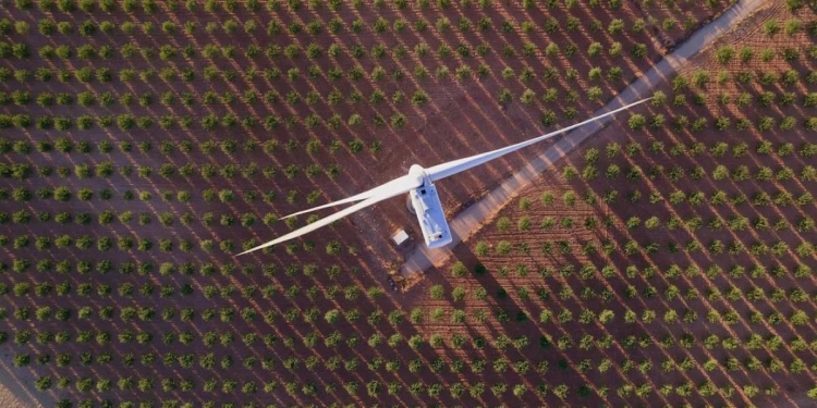 Lenovo truscale daas: ti sustentável com foco no roi