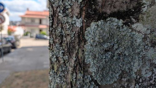 PXL 20250828 112914386 Reviews