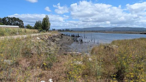 PXL 20250828 123143717 Reviews