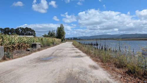 PXL 20250828 123202355 Reviews