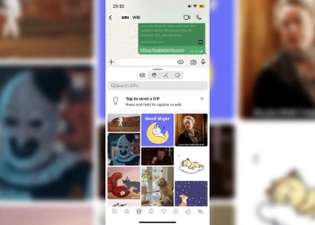 Whatsapp beta gif