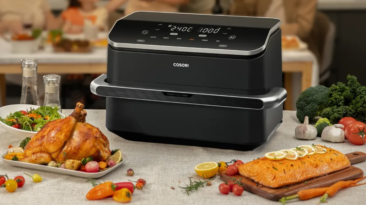 Cosori dual blaze twinfry