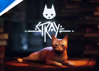 Stray - playstation