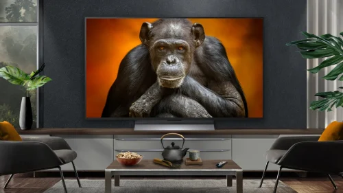 LG OLED48G56LS TecheNet Lg oled48g56ls