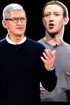 Mark zuckerberg tim cook