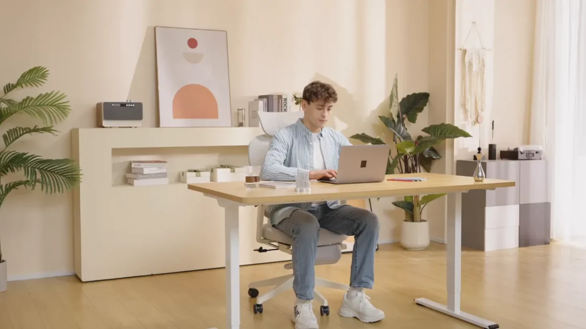 Flexispot e1 pro
